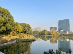 -大兴滨河森林公园