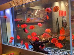 -朱光玉火锅馆(正弘城店)