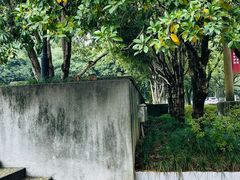 -浙江大学(玉泉校区)