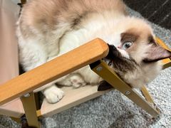 -seeu coffee(江滩店)