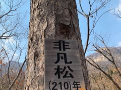 -青岩寺风景区