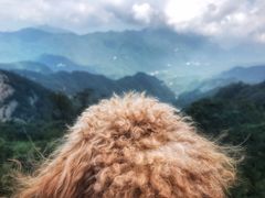 -洛阳白云山景区