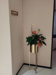 -广东韩妃整形外科医院