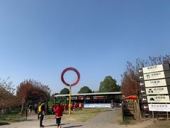 -武汉紫薇都市田园