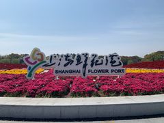 -上海鲜花港