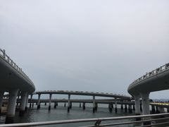 -演武大桥观景平台