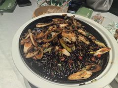 -桂满陇·海市蜃楼·黑金(国金店)