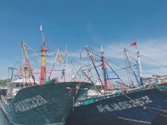 -枸杞岛