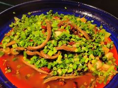 -川白楼·老成都院坝川菜鱼鲜馆(马鞍路店)