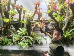 -扶摇湘宴·烤鸭·湘粤宴(中关村·北大店)