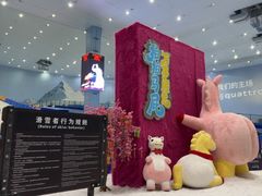 -广州热雪奇迹