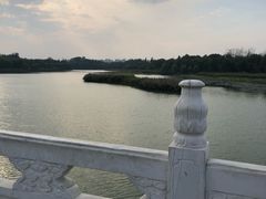 -北京麋鹿生态实验中心