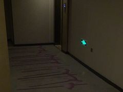 -麗枫酒店(苏州火车站店)