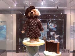 -济州岛泰迪熊博物馆