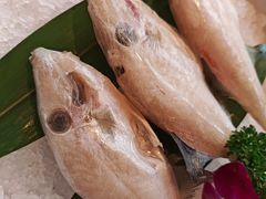 -小龙坎火锅(春熙太古里店)