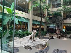 -白虎自助餐厅·真老虎·景观自助餐厅(广州长隆酒店)