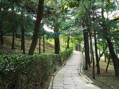 -观象山公园
