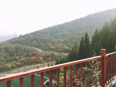 -博山九龙峪风景区