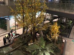 -湖南省地质博物馆