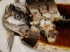-RIVIERA 松鹤楼(外滩店)
