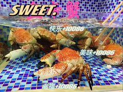 -欧记·龙城港(欣都龙城店)