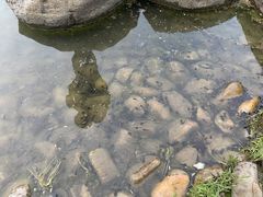 -新虹桥中心花园