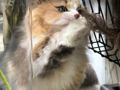 -自由生长植物工作室(深港花卉中心店)