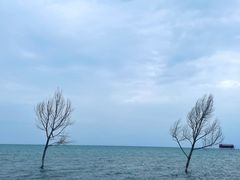 -青海湖二郎剑景区