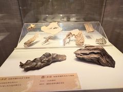 -福建省非物质文化遗产博览苑