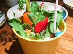 藜麦果蔬盆栽-嘉禾·悦享餐厅(八方汇店)