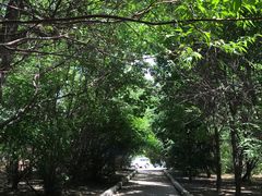 -吉林大学(南岭校区)