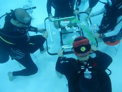 -上海潜殿潜水中心