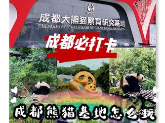 亲测成都必打卡熊猫基地全新攻略出炉啦!