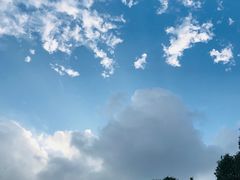 -复旦大学附属华山医院(江苏路分部)