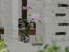 -上海鲜花港