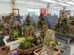-李村大集