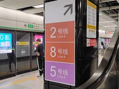 -大剧院(地铁站)