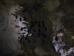 -地心探险极地