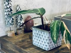 -侘寂甜品(自取店)
