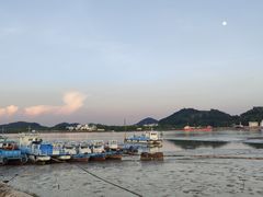 -长洲岛