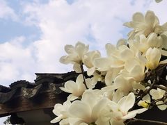 -无锡梅园公园