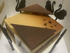 -BLACKSWAN黑天鹅(环球店)