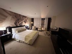 -国家会议中心大酒店