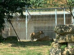 -上方山森林动物世界
