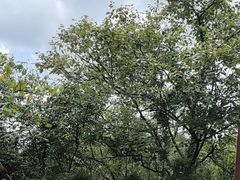 -天河潭旅游度假区