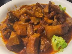 -陈麻婆豆腐总店