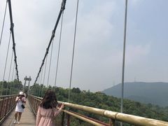 -东部华侨城