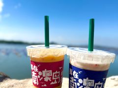 -南澳岛打卡果汁冰公司
