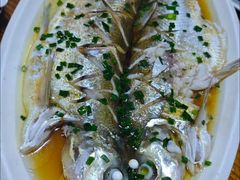 -呼吸森林·生态农庄农家乐私房菜