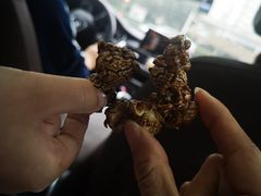 -正宗老杨特色爆米花(四棉店)